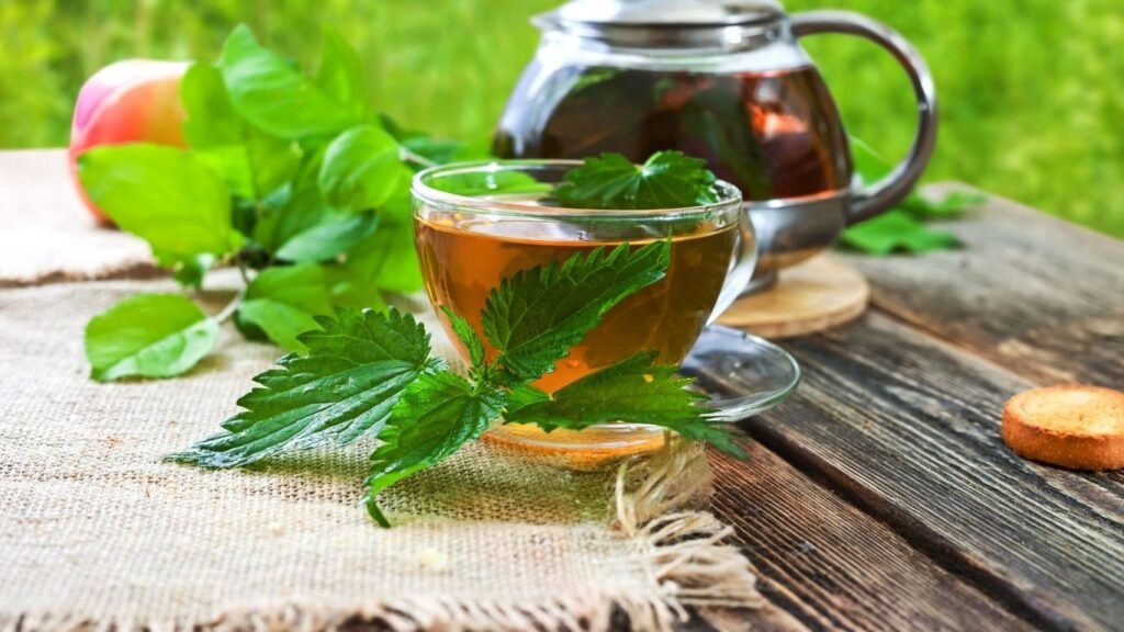 Korak-po-Korak: Kako Pripremiti Savršen Čaj od Koprive
