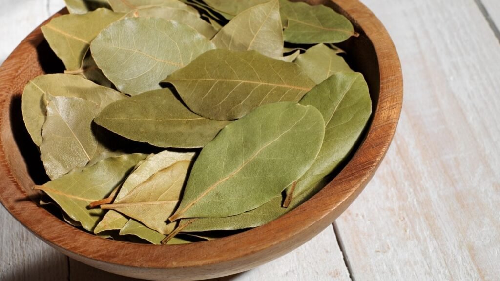 Lovorov List za Kašalj